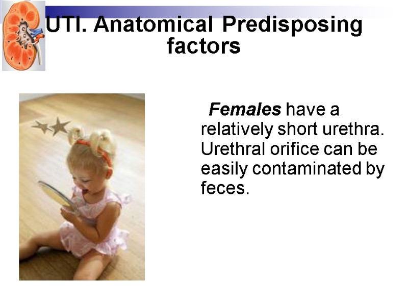 UTI. Anatomical Predisposing factors    Females have a relatively short urethra. Urethral